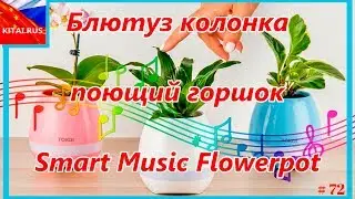 Blutuz singing in a pot | Blu-ray column Smart Music Flowerpot #72