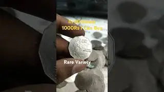 2 Rs National Integration 1998 Pretoria Mint Rare Lion Variety You Can Sell WhatsApp +91 9699065064