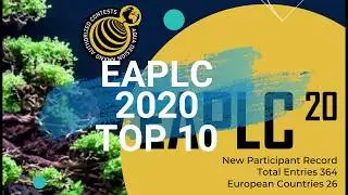 10 победителей Европейского конкурса аранжировок водных растений (EAPLC) 2020