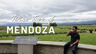 A wine tour of Mendoza, Argentina! The land of Malbec