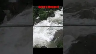 Arippara Waterfall #coversong