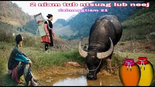 2 niam tub ntsuag lub neej tu siab  ( QUB DAB NEEG )
