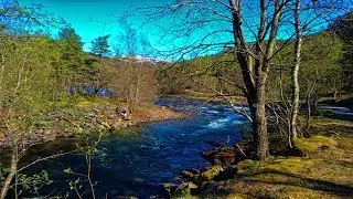 En tur til lisjvatn og krigskirkeg&aring;rden i Botn.