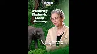 The Wandering Elephants &mdash; A Living Symbol of China&rsquo;s Ecological Civilization