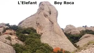L'Elefant - Boy Roca