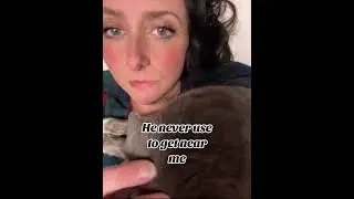 Cat Bonding with Woman While Her Son is Away#CatLove #PetAffection #MilitaryFamily
