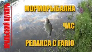 МОРМЫШИНГ!!! ЧАС РЕЛАКСА С ФАРИО!