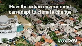 How can cities adapt to climate change? Matthew Kahn & Siqi Zheng