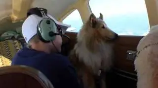 Pilot's N Paws TV Special