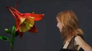 Color Zoom 2012 - FasciNature