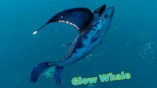The Glow Whale Leviathan | Subnautica Below Zero