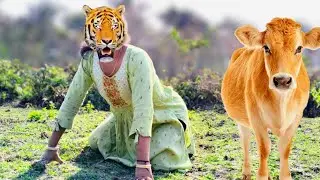 🐅 Fake Baagh Se Cow Darr Gayi!