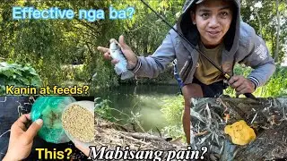 KANIN AT FEEDS LANG? Ang mabisang pain?|pinaka madaling way para gumawa ng mabisang pain sa isda|.