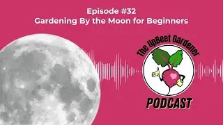 Gardening By The Moon - A Beginner's Guide