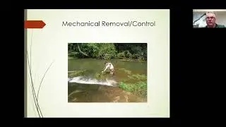 Pond Management Night II Weed Control