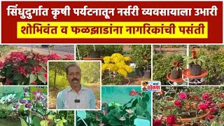 सिंधुदुर्गात कृषी पर्यटनातून नर्सरी व्यवसायाला उभारी, शोभिवंत व फळझाडांना नागरिकांची पसंती