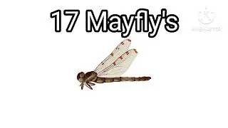Insect's Bug's Flying Number English 1-40 🦋🪰🕷️🐜🦗🐝🐝🐞🦂🦟🐛🪲🪱🐌🪳🦋🦋🦗🐝 K KINEMASTER,