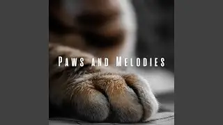 Zen Music for Peaceful Cats