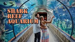 Shark Reef Aquarium | One Of The Largest Aquarium In North America | Traveling Kids