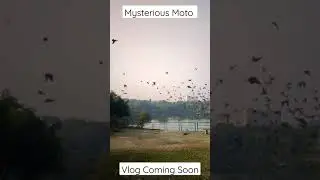 Japanese Park Rohini Delhi | MYSTERIOUS MOTO