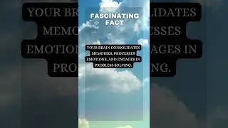 The Science of Dreams: Memory Consolidation, Emotional Processing, and Problem Solving