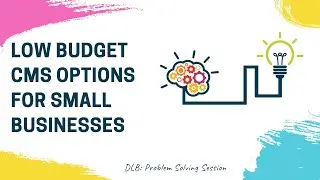 Low budget CMS options for small businesses
