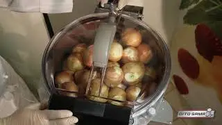 Eplucheuse Professionnelle T10E - 10 kg - Dito Sama