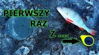 PIERWSZY RAZ Z BAŁAŁAJKĄ - WĘDKARSTWO PODLODOWE - OKOŃ