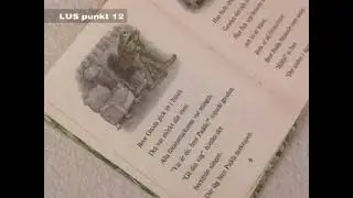 LUS-punkt 12