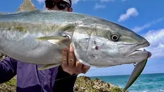 North New Zealand Kingfish! Off the Rocks