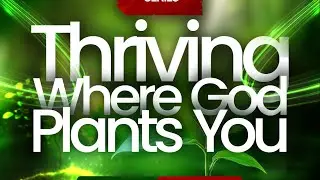 Thriving Where God Plants You