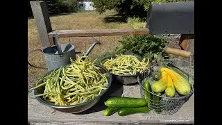 The 5 Most Productive Vegetable Crops You Should Grow! (2025) #32