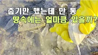 오늘은 맨손으로 만 통하는 날.