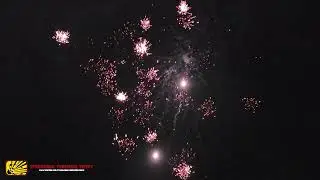 Little Uranus (Planet Cakes) 9 Shots - Heron Fireworks - Vuurwerk24 - Oud&Nieuw 2025/2026