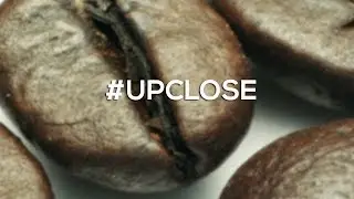 UPCLOSE - How to Shoot Indoor Macro Photography (Reversed Lens)