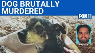 Man accused of killing dog in West Hollywood | FOX 11 LA