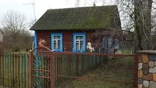 д.Домаши, Ляховичский район, Беларусь - 5:12:2026г.