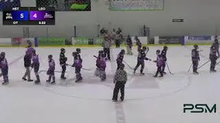 Leo V. Homestead | Fort Wayne Amateur Hockey | SummitCitySports