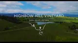 Handpicked Highbow Hill Vineyard