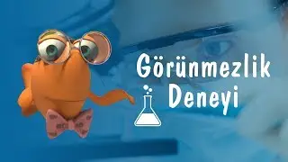 Profes&ouml;r Balık ile Deneyler: G&ouml;r&uuml;nmezlik Deneyi