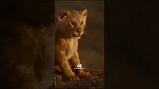 Simba&rsquo;s Leadership Lessons from Mufasa #lionking #inspiration #leadership