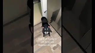 Adorable Dog Gets a Cartoon Batman Makeover with AI!#AItransformation #CartoonDog