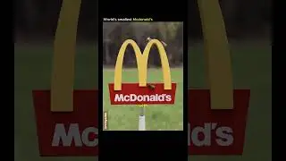 The World&rsquo;s Smallest McDonald&rsquo;s &ndash; But It&rsquo;s Not for Humans! 🏠🐝