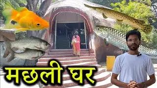 Fish House Vlog | Lucknow Zoo | Saleem Azad Vlogs