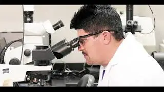 Granules film ..