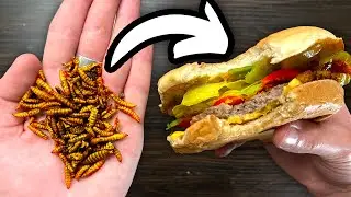 Вы едите насекомых каждый день! (Экскурсия по ферме съедобных насекомых)