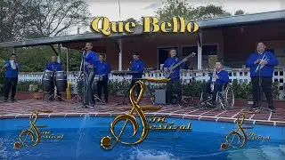Que Bello | Son Festival