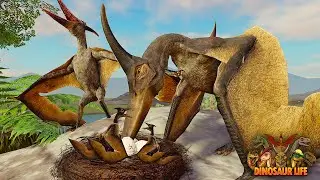 Птеранодон строит гнездо и высиживает детенышей! | ROBLOX Dinosaur Life
