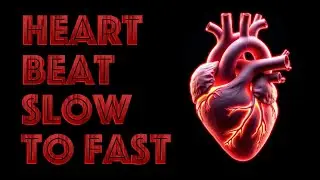 Heartbeat Sound Effect Slow To Fast - Sound Effect