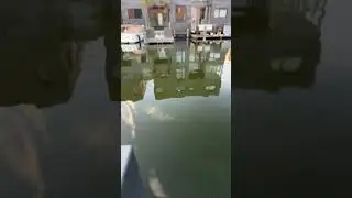 The water☠️🤮